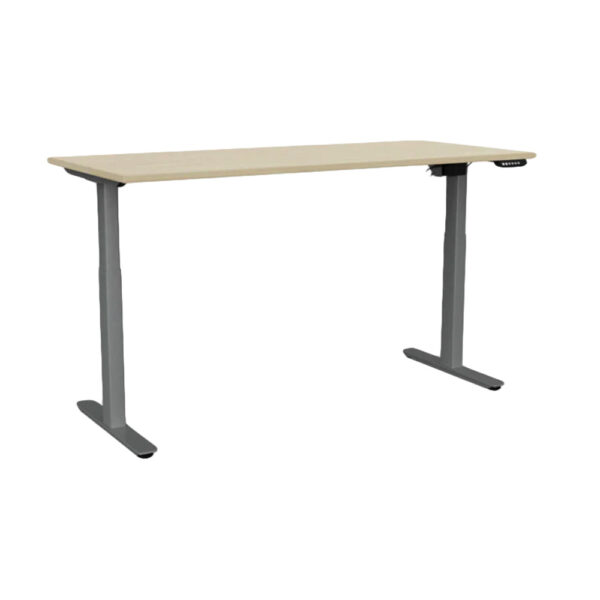 Educated Furniture agile electronic sit stand desk with silver frame and nordic maple top