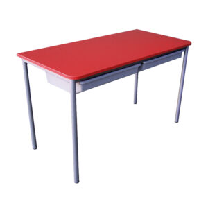 Educated furniture double desk with tote trays