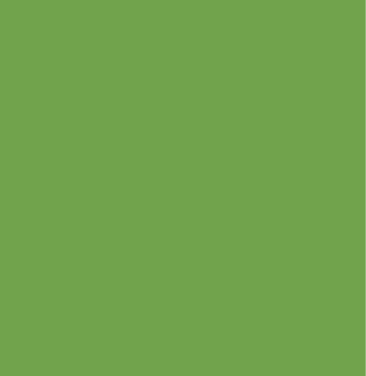 ztool green swatch